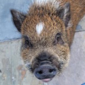 Profile Photo